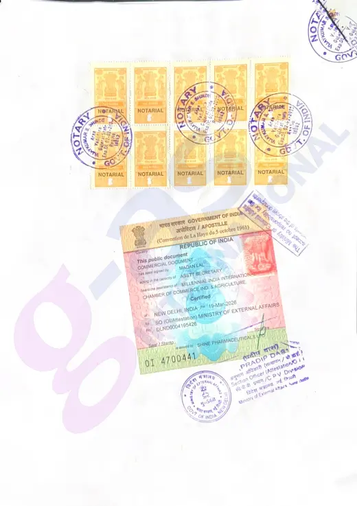 Power of Attorney Apostille in Rajkot document verification process